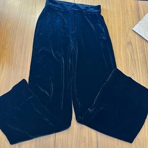 Zara Woman Silk Velvet Wide Leg Pants